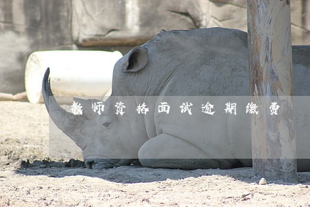 教师资格面试逾期缴费 教师资格面试逾期缴费