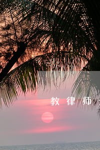 教律师介入 教律师介入