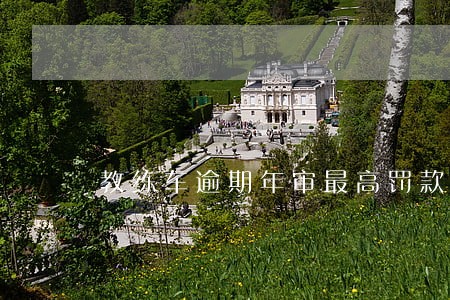 教练车逾期年审最高罚款多少 教练车逾期年审最高罚款多少