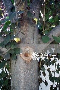 教职工贷款逾期问题的情况回复 教职工贷款逾期问题的情况回复