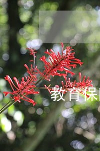 教育保险逾期了怎么办 教育保险逾期了怎么办
