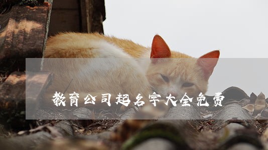 教育公司起名字大全免费 教育公司起名字大全免费