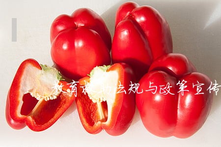 教育救助法规与政策宣传画 教育救助法规与政策宣传画
