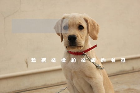 教育法律和法规的关系 教育法律和法规的关系