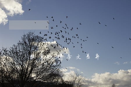 教育法律条文差异 教育法律条文差异