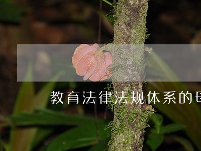 教育法律法规体系的母法 教育法律法规体系的母法