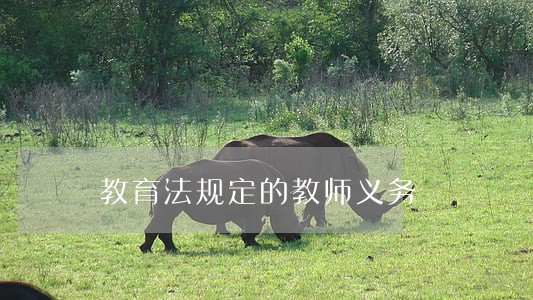 教育法规定的教师义务 教育法规定的教师义务