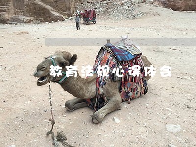 教育法规心得体会 教育法规心得体会