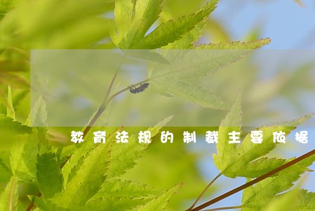 教育法规的制裁主要依据