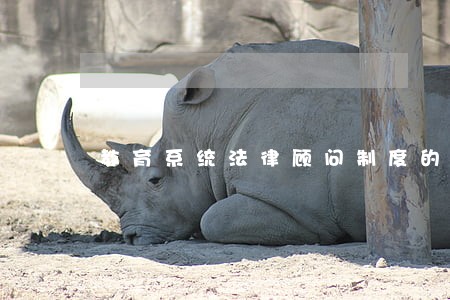教育系统法律顾问制度的意义 教育系统法律顾问制度的意义