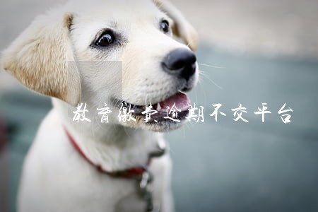 教育缴费逾期不交平台 教育缴费逾期不交平台