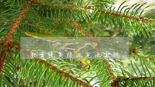 教育脱贫路上宪法护航 教育脱贫路上宪法护航