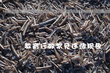 教育行政常见违法现象 教育行政常见违法现象