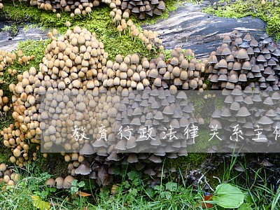 教育行政法律关系主体是什么 教育行政法律关系主体是什么