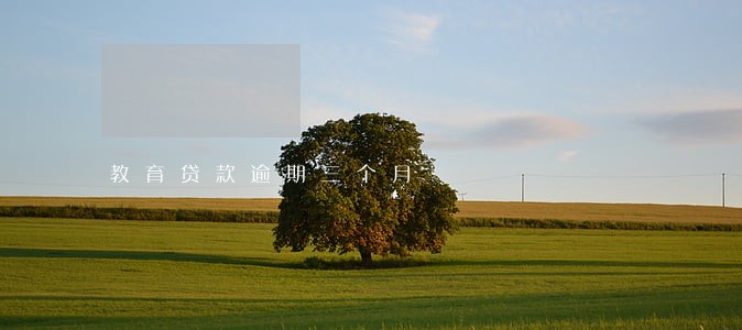 教育贷款逾期三个月 教育贷款逾期三个月
