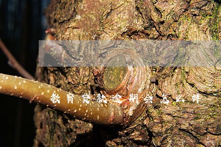 教育贷款逾期会怎么样 教育贷款逾期会怎么样