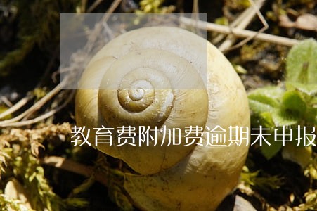 教育费附加费逾期未申报是否处罚 教育费附加费逾期未申报是否处罚