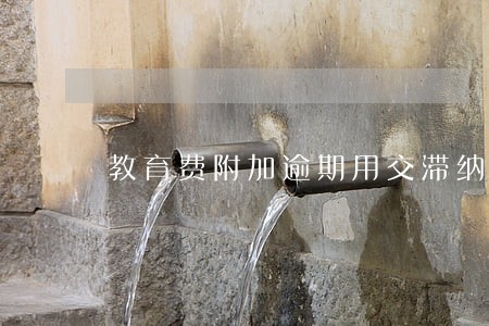 教育费附加逾期用交滞纳金吗
