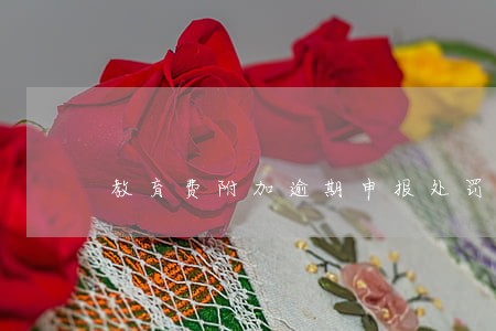 教育费附加逾期申报处罚