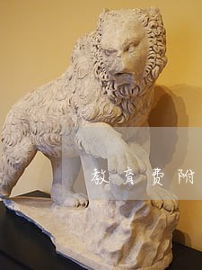 教育费附加逾期申报怎么办 教育费附加逾期申报怎么办
