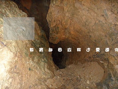 教育部回应称还需遵守学位条例 教育部回应称还需遵守学位条例