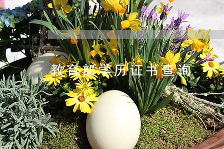 教育部学历证书查询