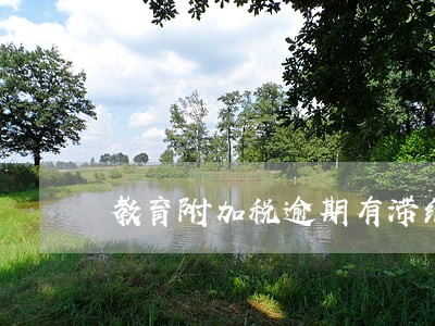 教育附加税逾期有滞纳金吗 教育附加税逾期有滞纳金吗