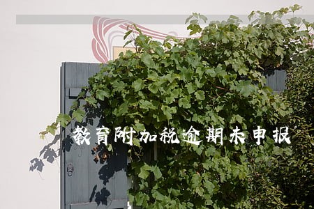 教育附加税逾期未申报
