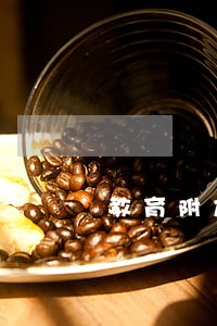 教育附加费逾期怎么申报 教育附加费逾期怎么申报
