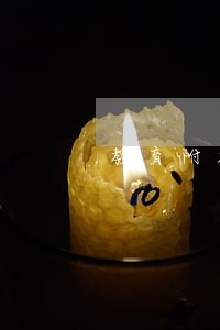 教育附加费逾期申报