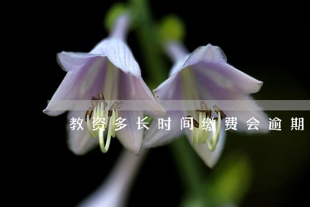 教资多长时间缴费会逾期 教资多长时间缴费会逾期