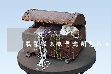 教资报名缴费逾期怎么办 教资报名缴费逾期怎么办