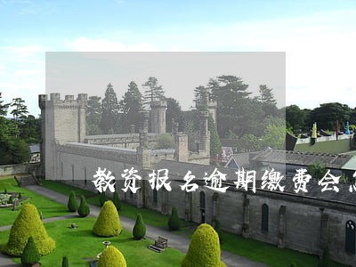教资报名逾期缴费会怎样 教资报名逾期缴费会怎样