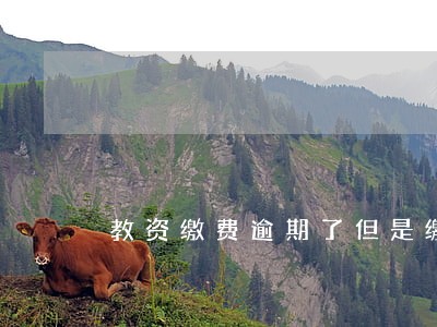 教资缴费逾期了但是缴款成功 教资缴费逾期了但是缴款成功