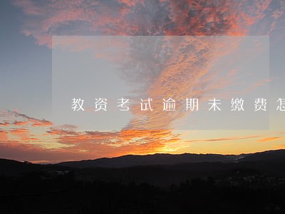 教资考试逾期未缴费怎么办 教资考试逾期未缴费怎么办
