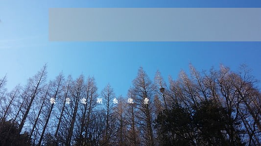 教资逾期未缴费 教资逾期未缴费
