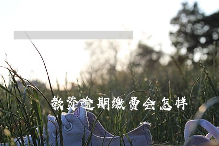 教资逾期缴费会怎样 教资逾期缴费会怎样
