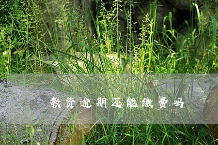 教资逾期还能缴费吗 教资逾期还能缴费吗