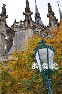 散发逾期借款人身份证照片 散发逾期借款人身份证照片