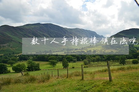 数十人手持棍棒候在法院门外 数十人手持棍棒候在法院门外