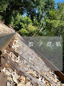 数字竞猜迪拜竞猜是违法的吗 数字竞猜迪拜竞猜是违法的吗