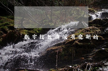 数字钱包有没有逾期的 数字钱包有没有逾期的
