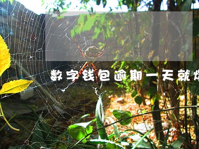 数字钱包逾期一天就爆通讯录 数字钱包逾期一天就爆通讯录