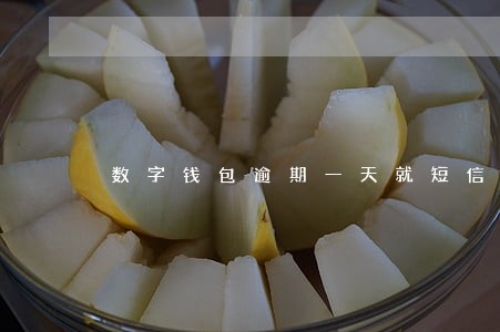 数字钱包逾期一天就短信威胁