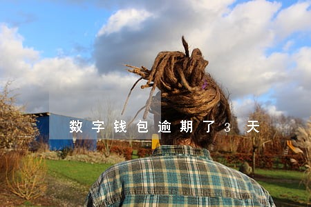 数字钱包逾期了3天 数字钱包逾期了3天