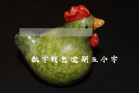 数字钱包逾期五个字 数字钱包逾期五个字