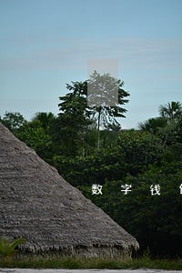 数字钱包逾期会上征信么 数字钱包逾期会上征信么