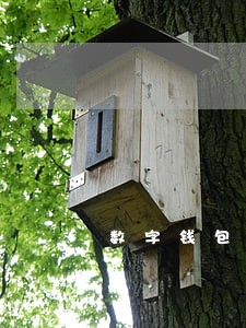 数字钱包逾期会怎样 数字钱包逾期会怎样