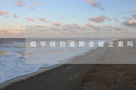 数字钱包逾期会被立案吗 数字钱包逾期会被立案吗