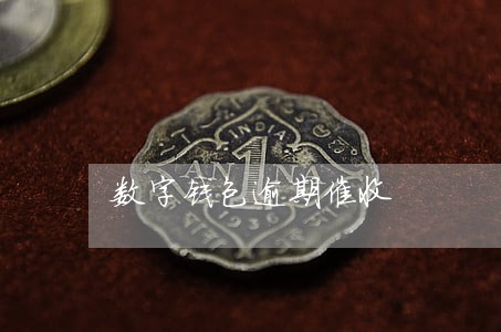 数字钱包逾期催收 数字钱包逾期催收